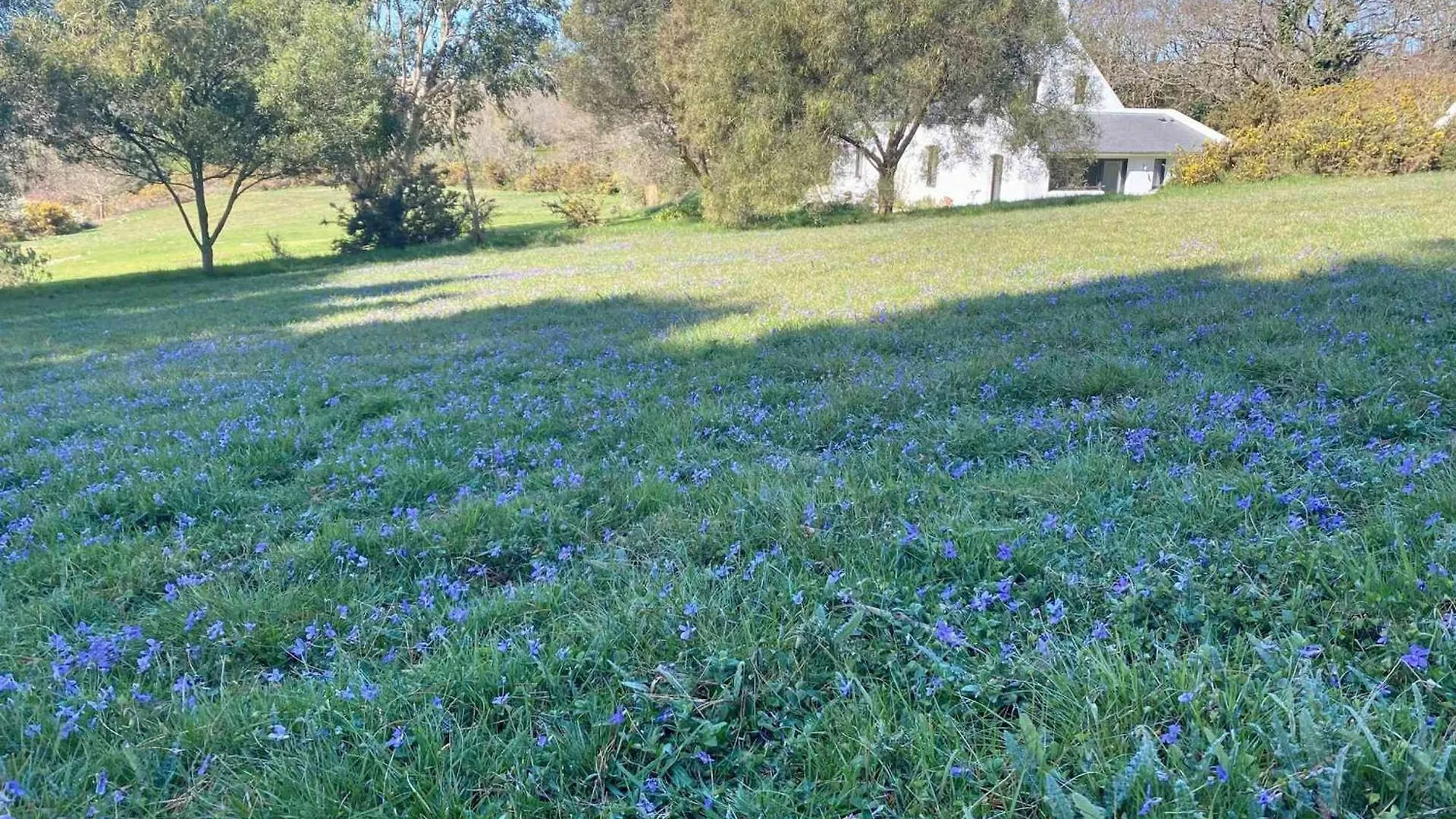 Maison Lumineuse En Pleine Nature, 800 M De La Mer, Proche Plage, Jardin, Wifi, Tout Equipe. - Fr-1-418-229 Locmaria